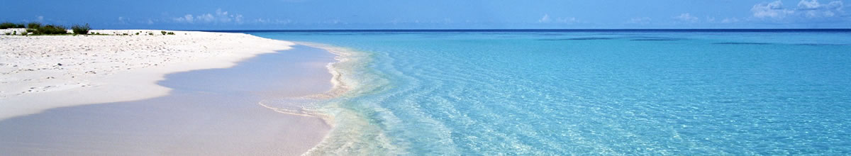 header2.jpg